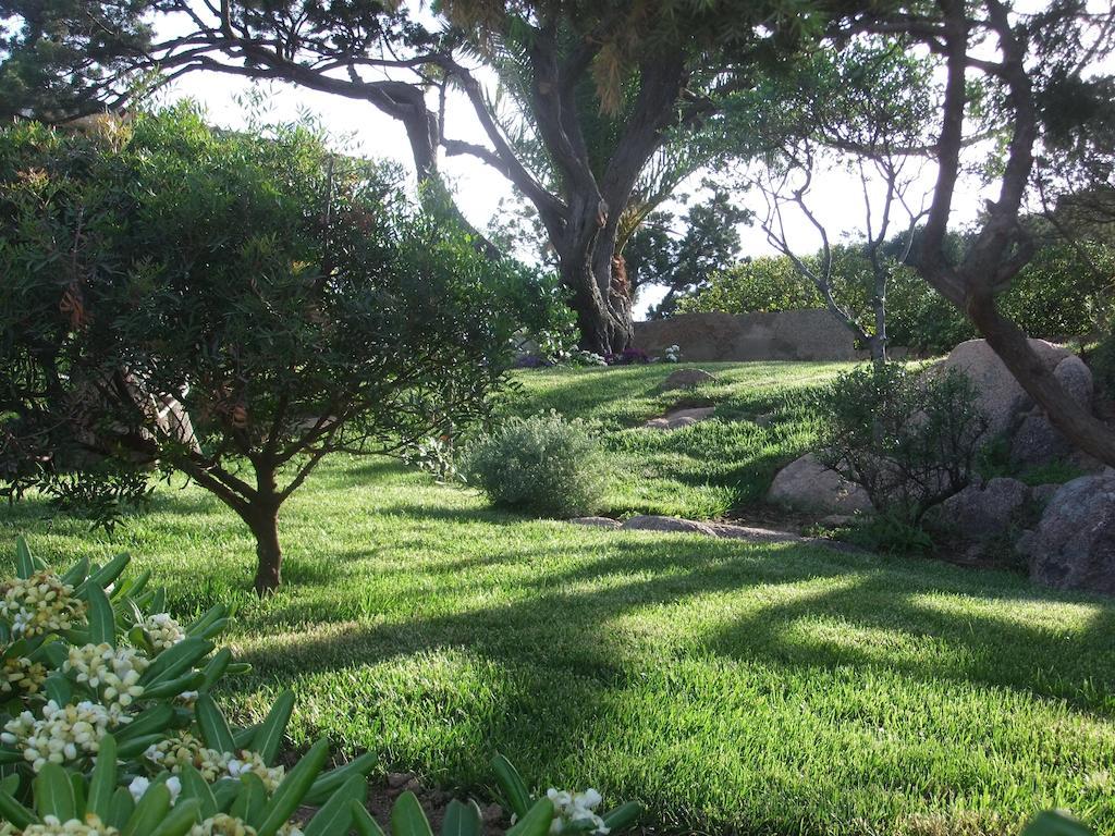 Bed and Breakfast Residenza Nialiccia Abbiadori Zewnętrze zdjęcie