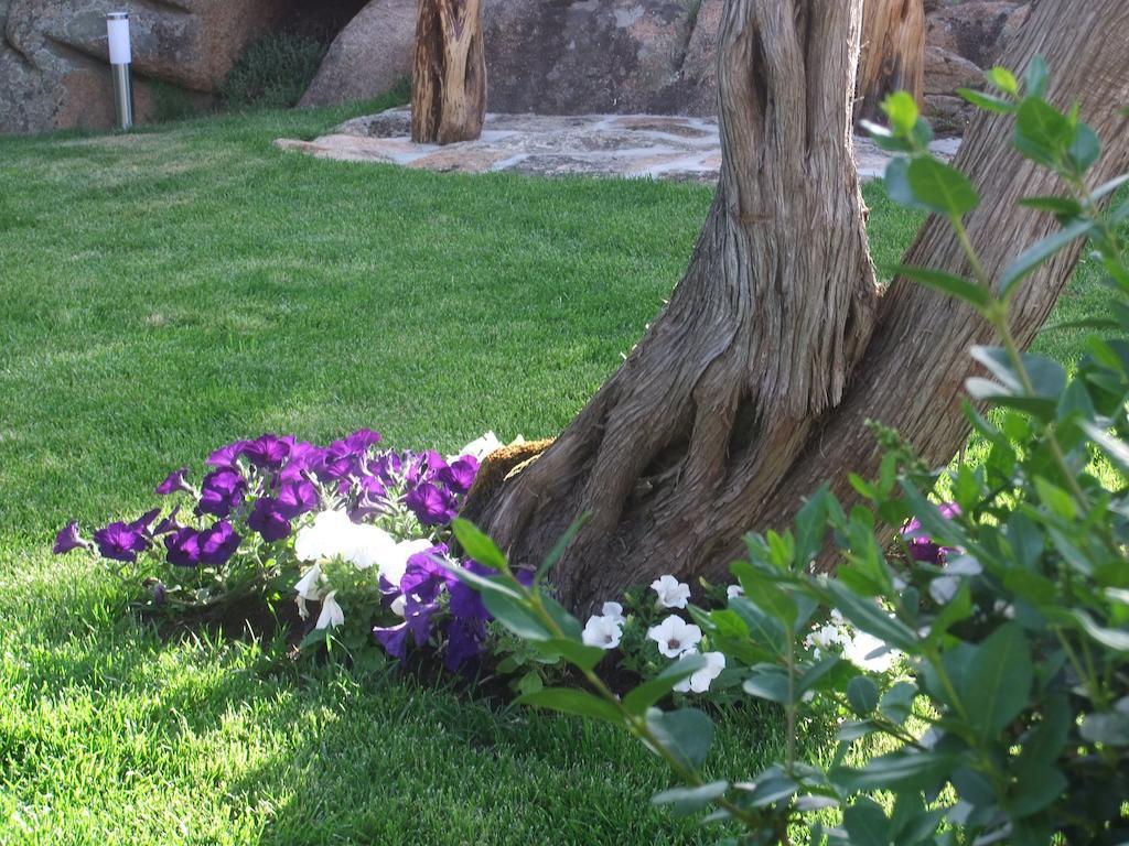 Bed and Breakfast Residenza Nialiccia Abbiadori Zewnętrze zdjęcie